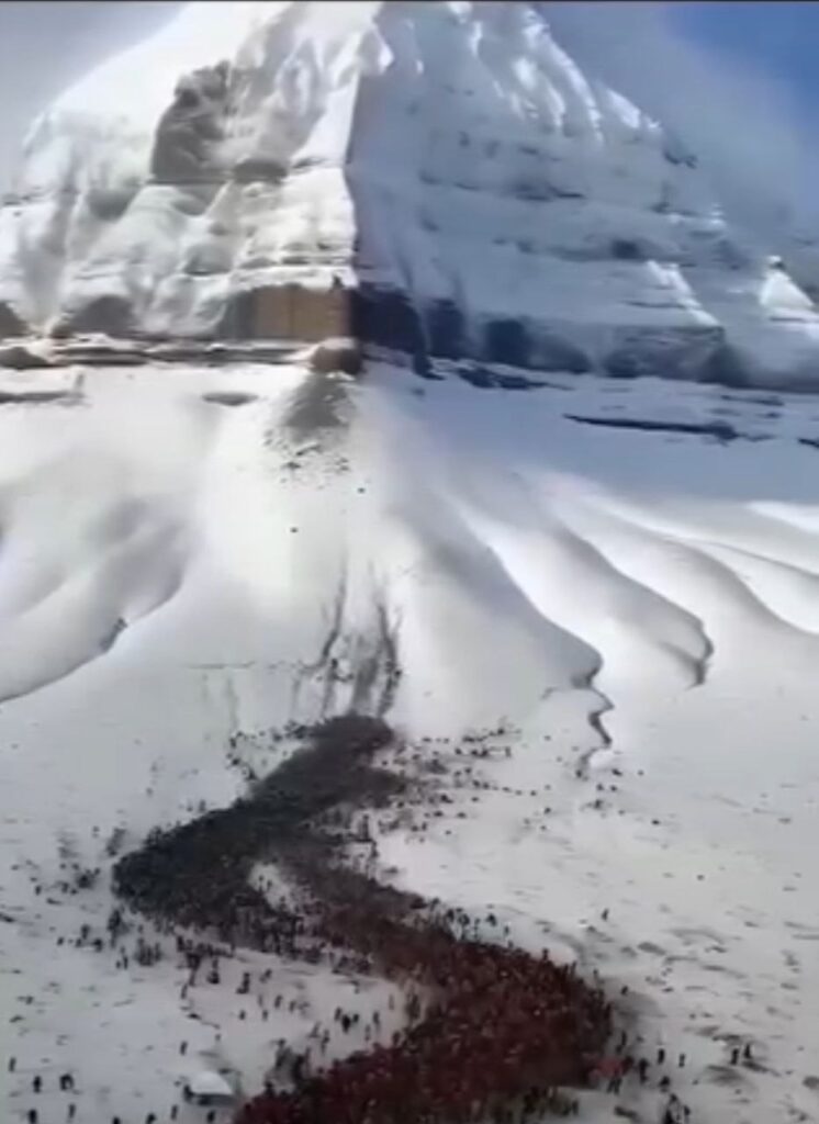 بعضی دریافتی های شهروندای نوریِ رامونکا و لایت کد هایی که کشیدن img 4730