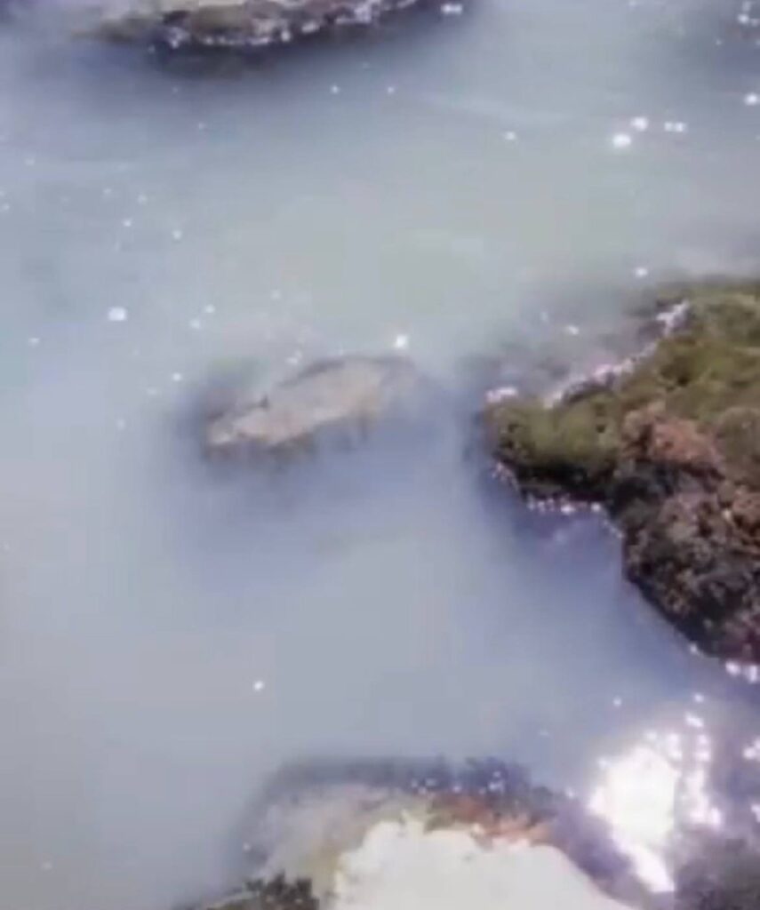 photo 5945265568925994983 y