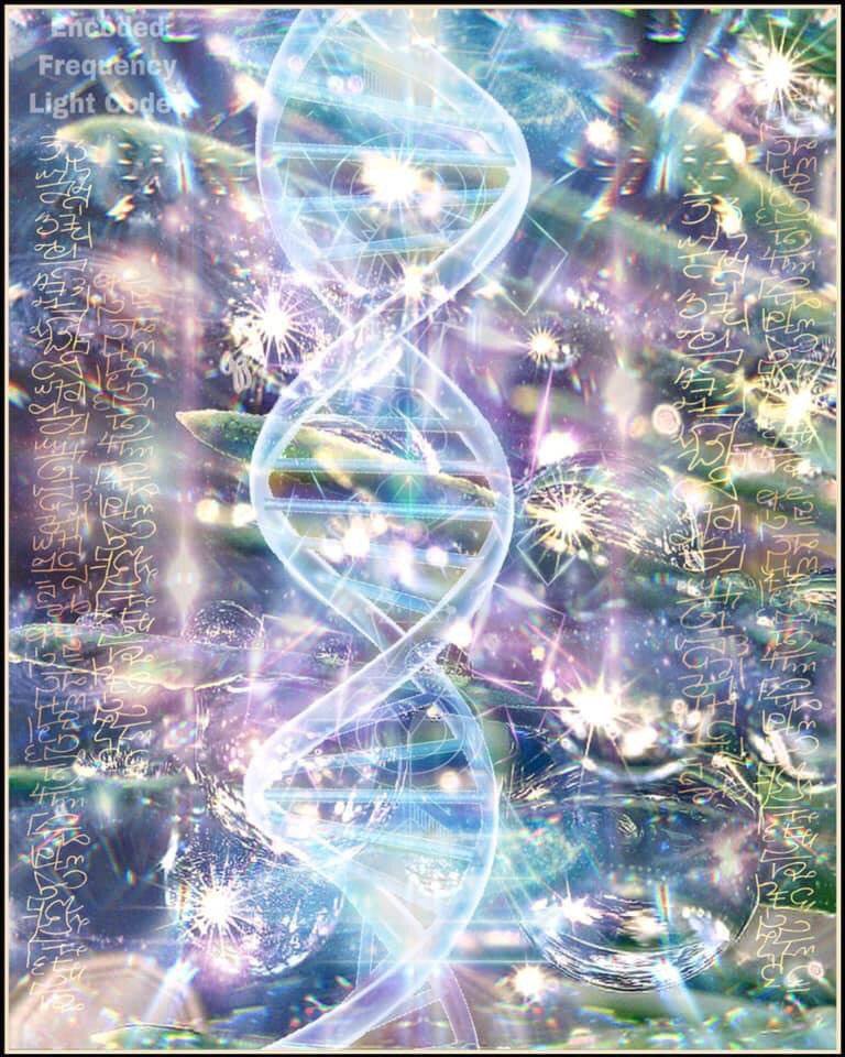 مقالات photo 5958418837550516406 y